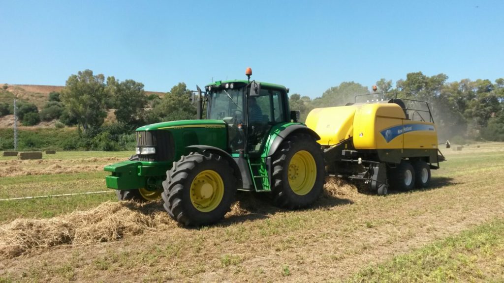Venta de alfalfa cadiz