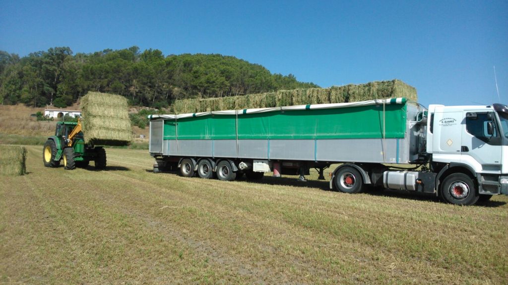 Venta de alfalfa cadiz