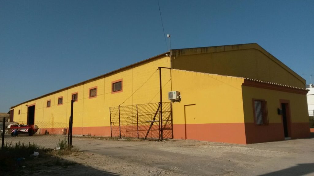 Venta de alfalfa cadiz